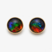 将图片加载到图库查看器,Ammolite Stud Earrings in 10K Gold AA