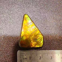 Load image into Gallery viewer, golden Freeform Ammolite
