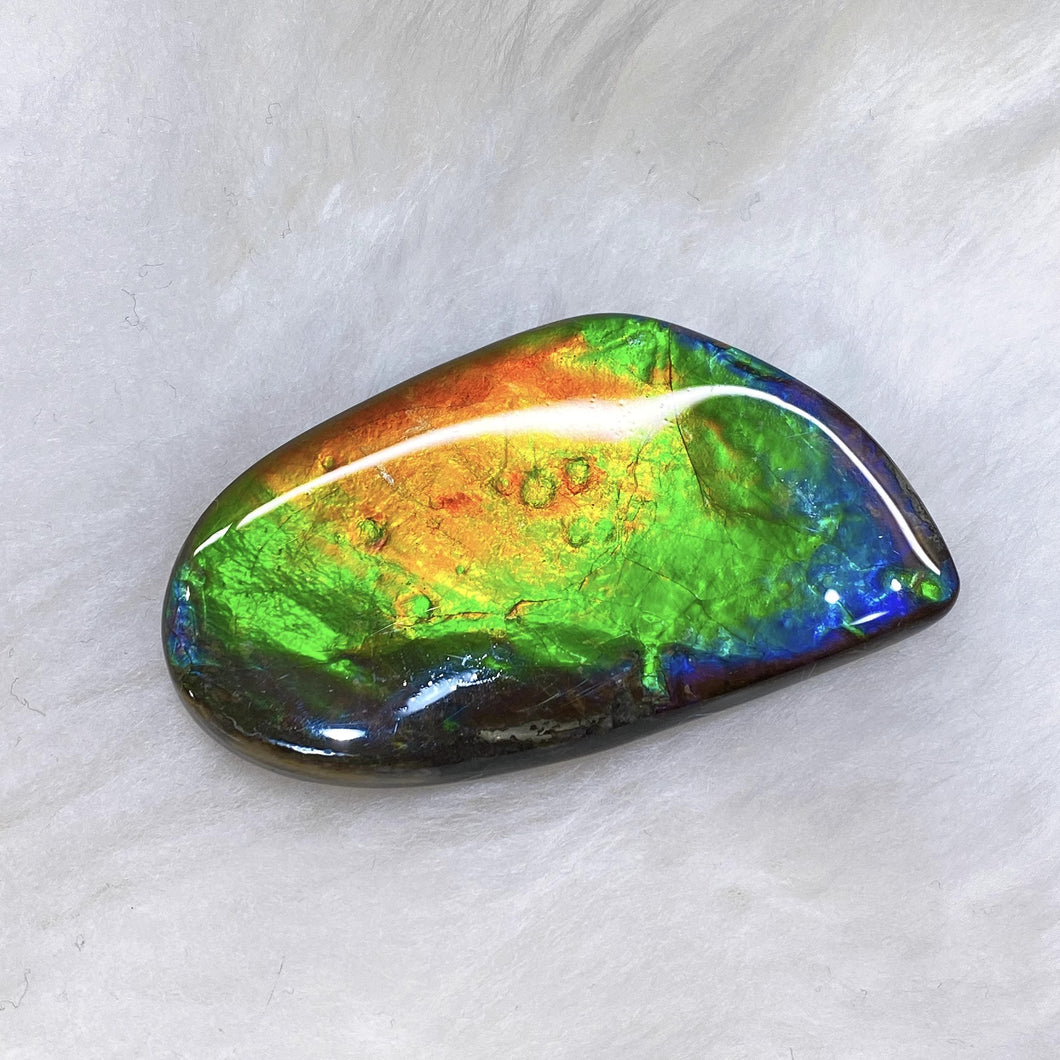 Freeform Ammolite FNA2201