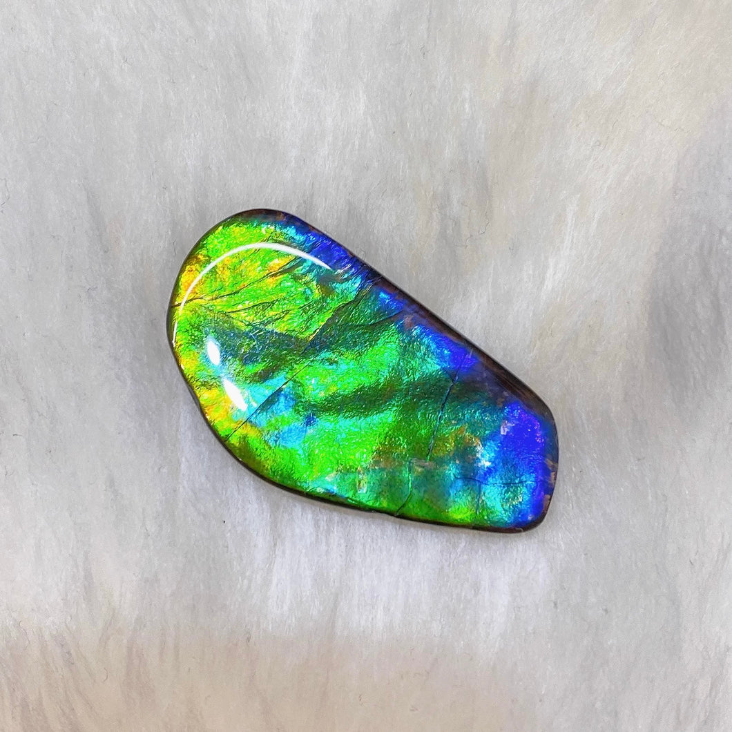 Freeform Ammolite FNA22072