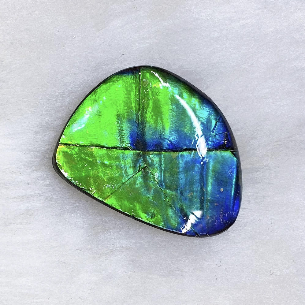 Freeform Ammolite FNA22079