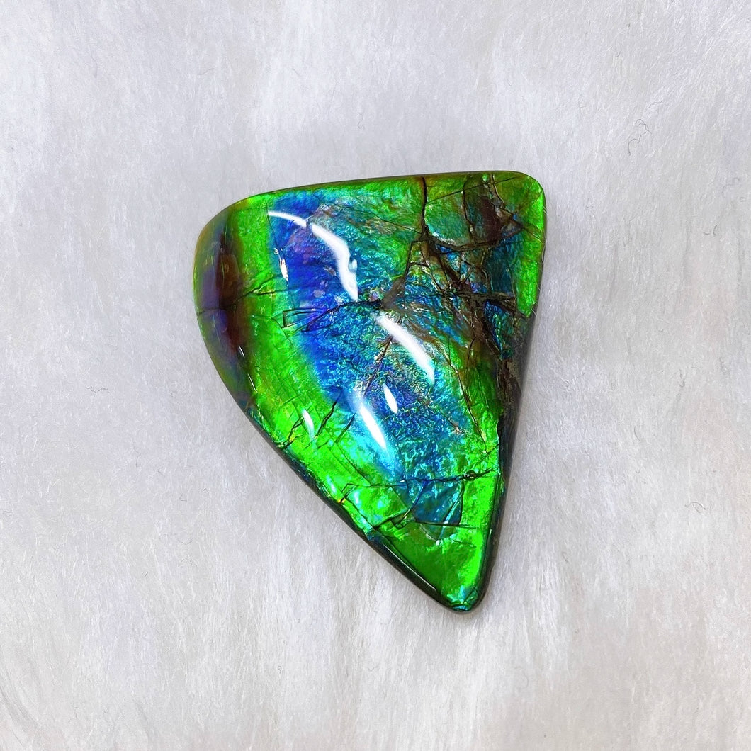 Freeform Ammolite FNA22081