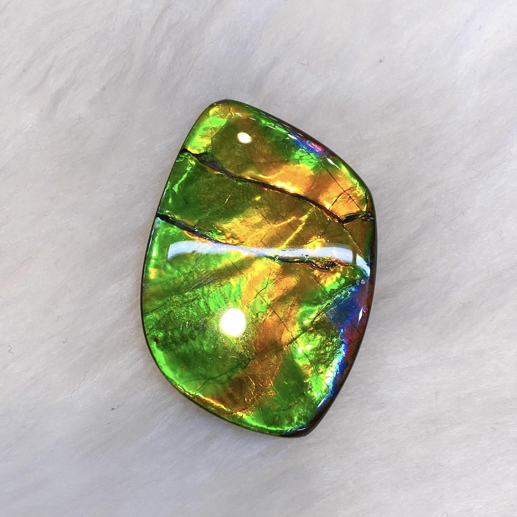 Freeform Ammolite FNA22089