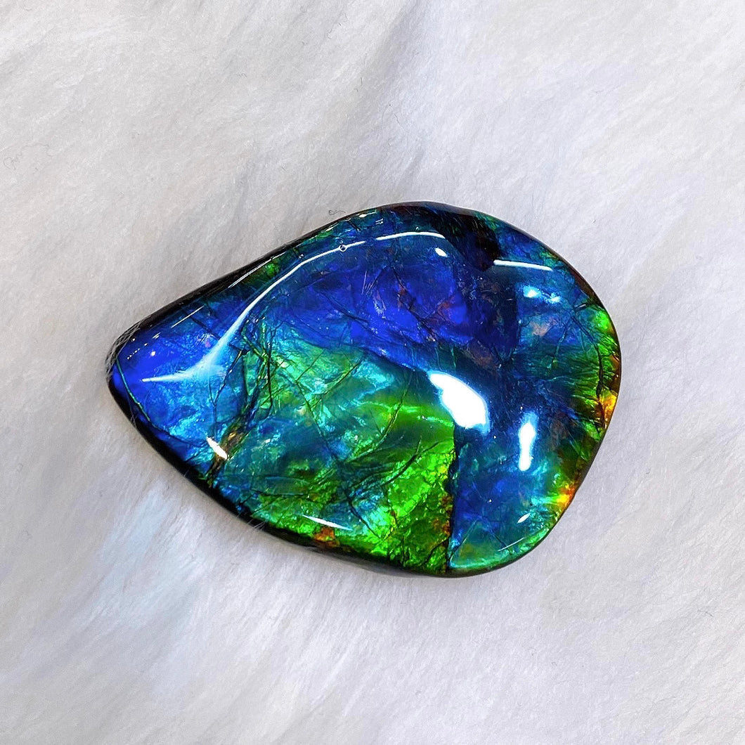 Freeform Ammolite FNA22090