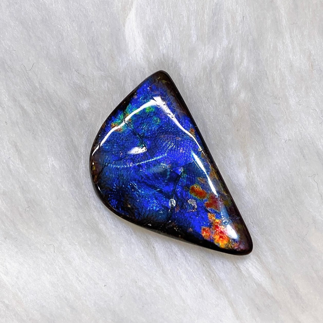 Freeform Ammolite FNA22113