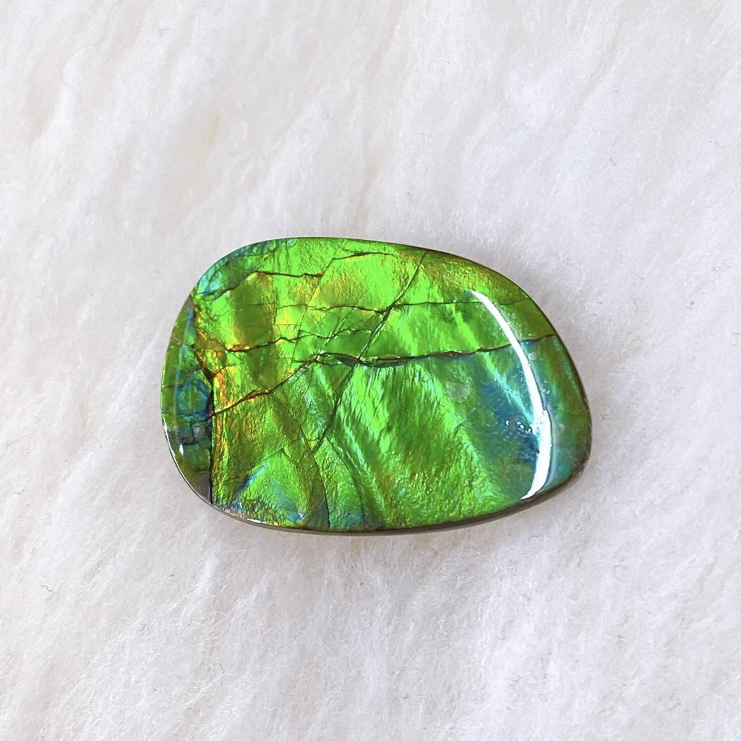 Freeform Ammolite FNA22151