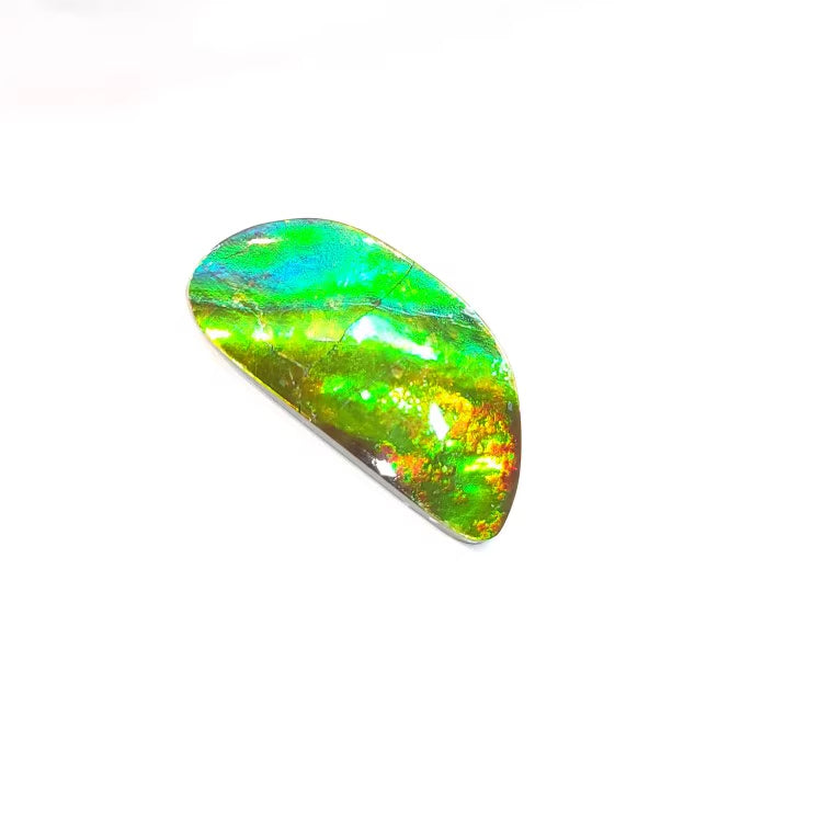 Freeform Ammolite FNA22156