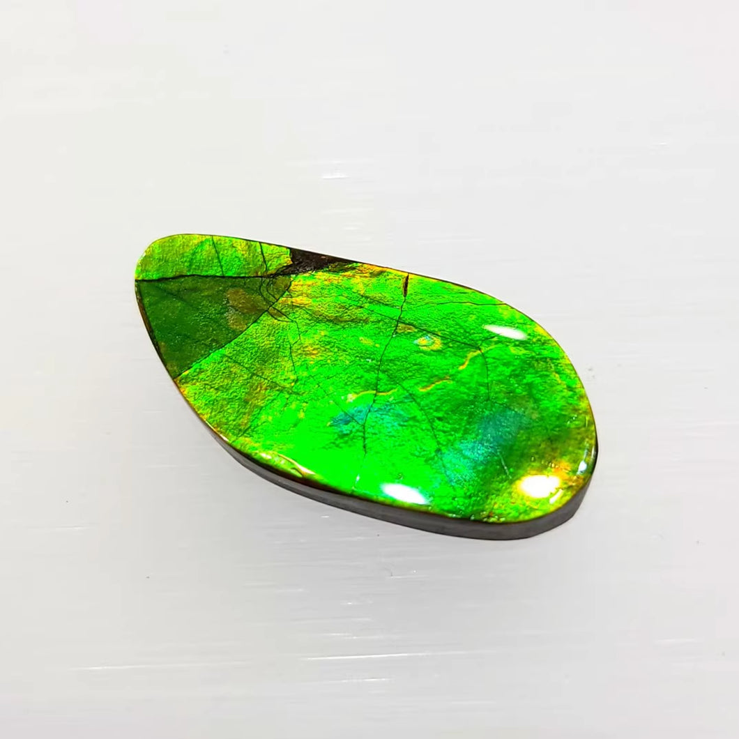 Freeform Ammolite FNA22158