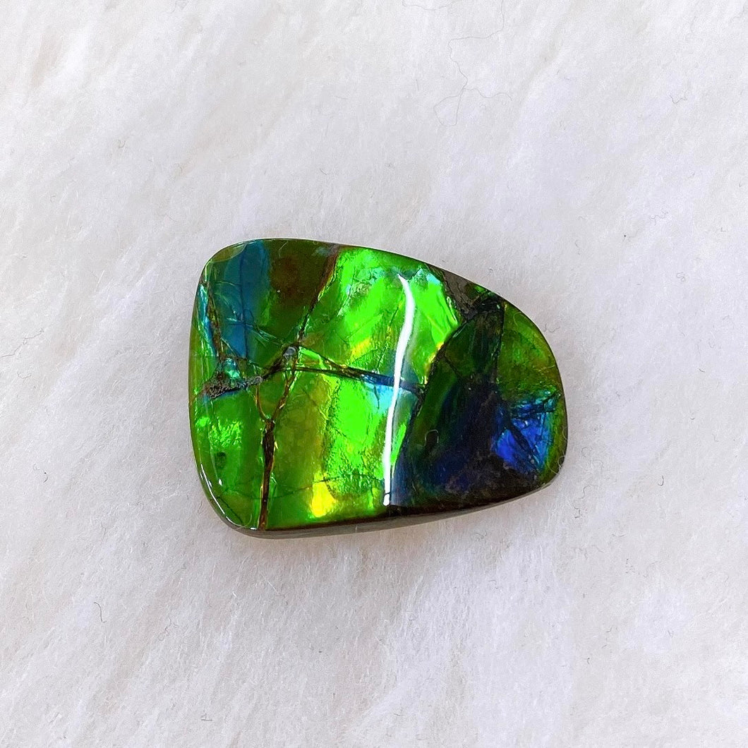 Freeform Ammolite FNA22169