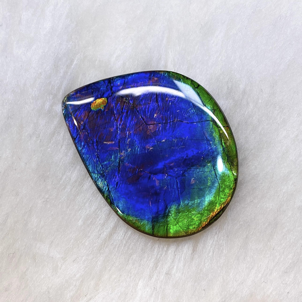 Freeform Ammolite FNA22202