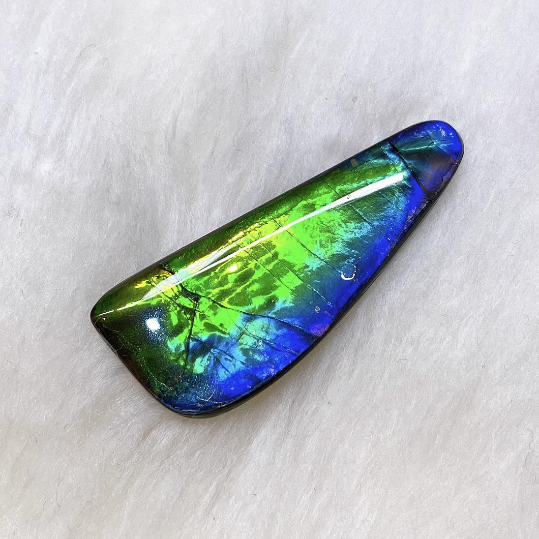 Freeform Ammolite FNA22209