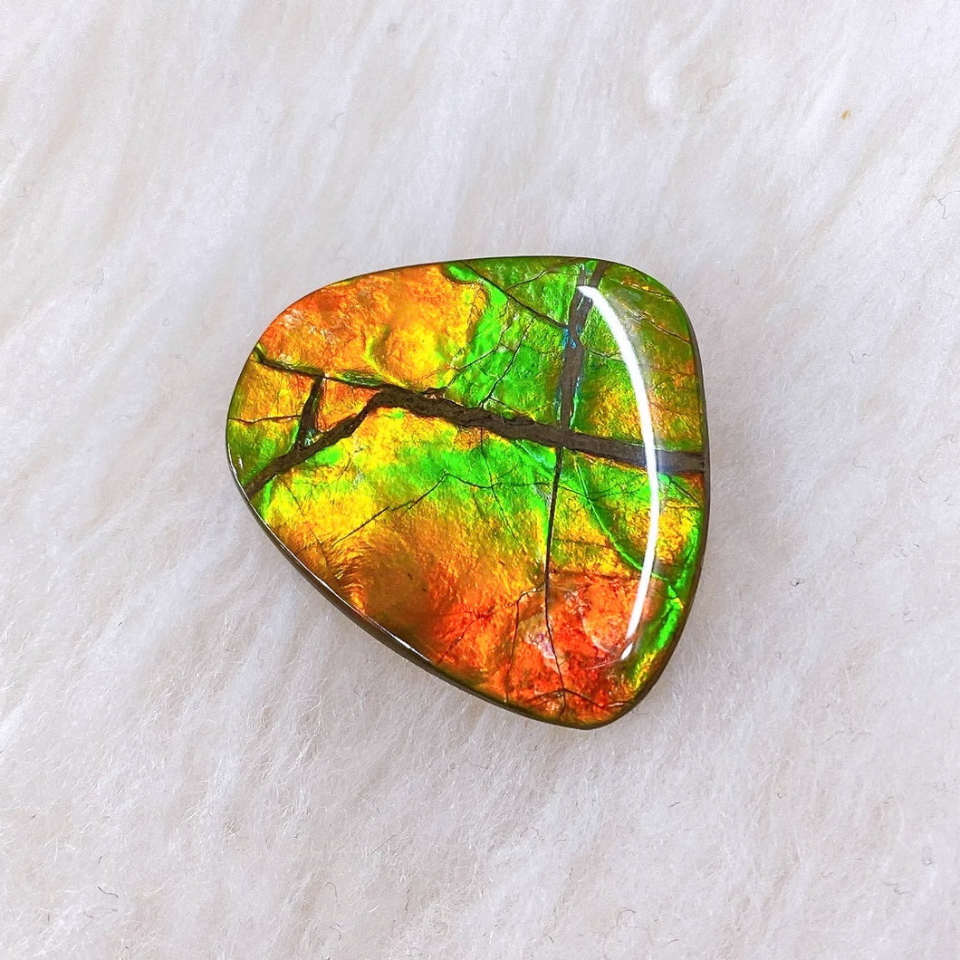 Freeform Ammolite FNA22300