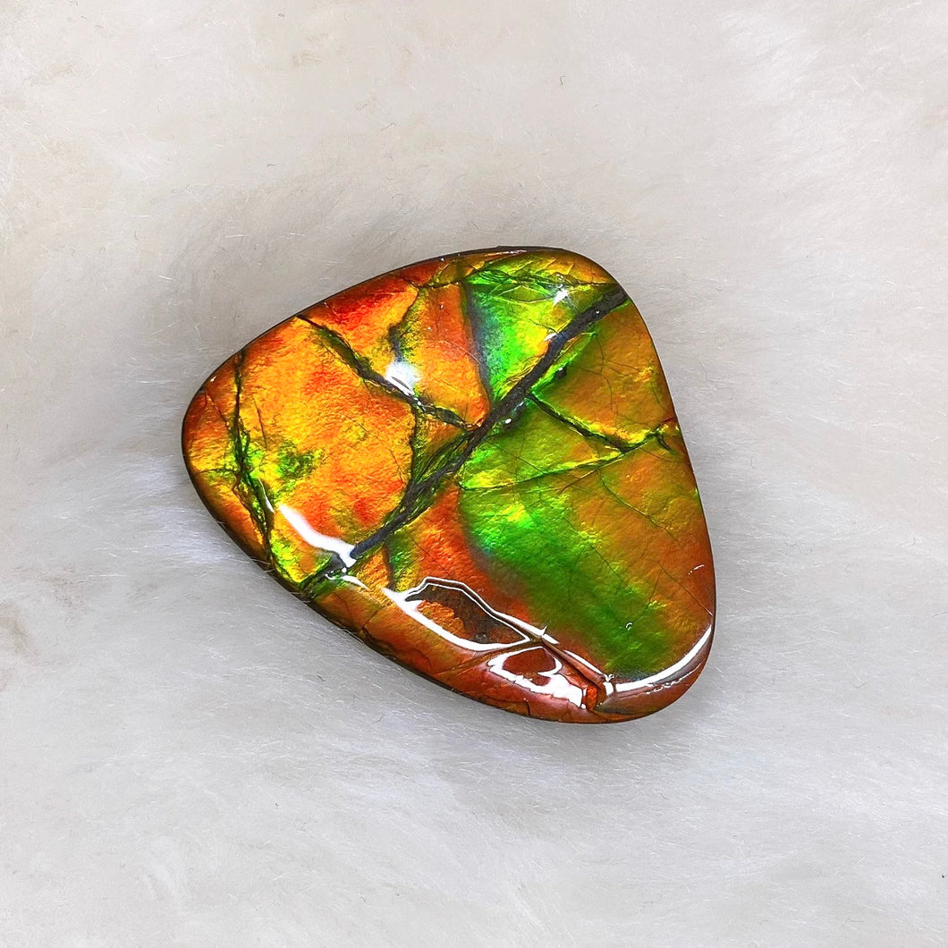 Freeform Ammolite FNA22602