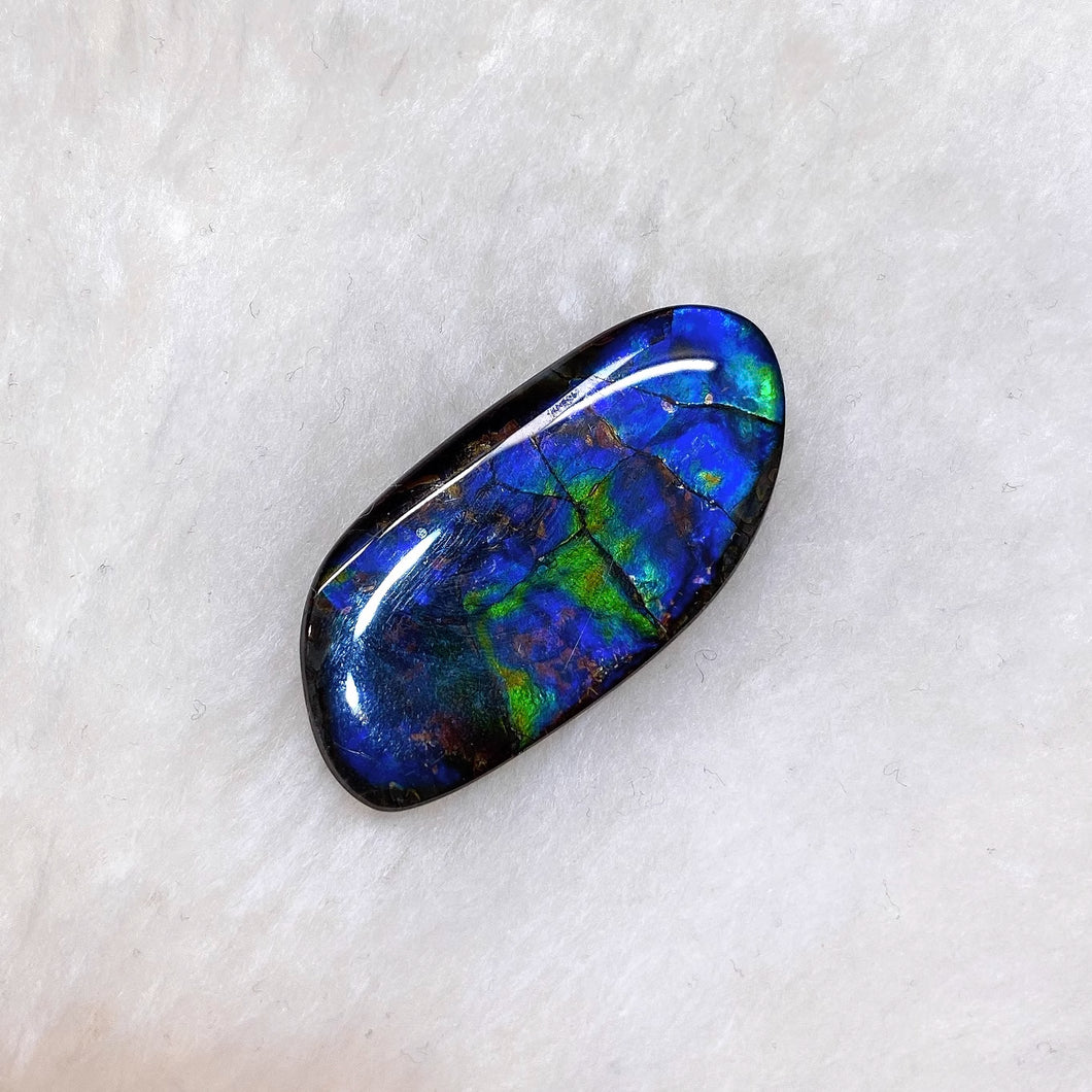 Freeform Ammolite FNA23203