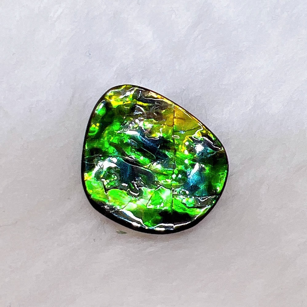 Freeform Ammolite FNA6574