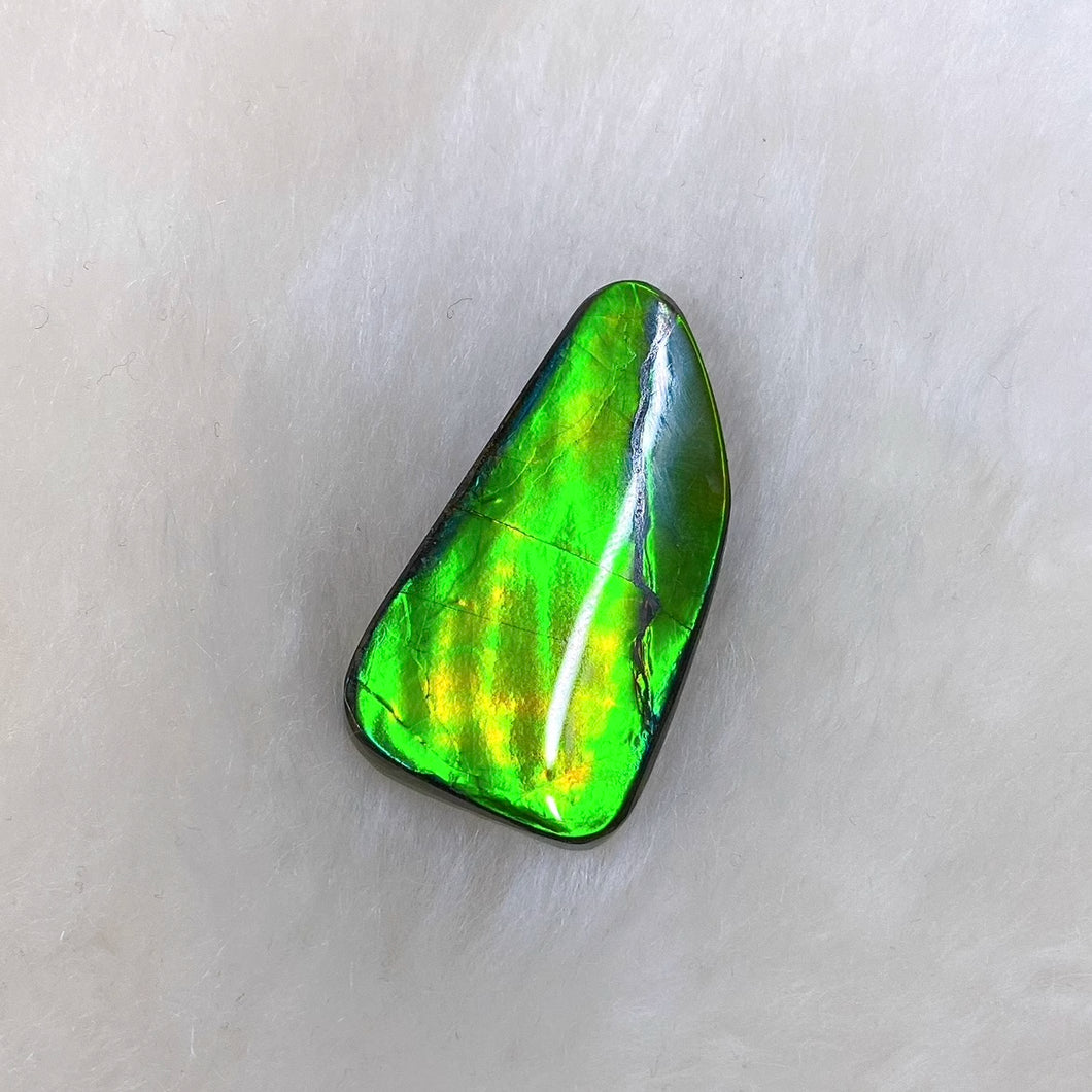 Freeform Ammolite FNCA22442