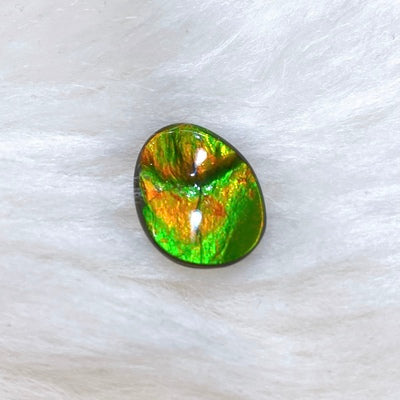 Freeform Ammolite Gemstone