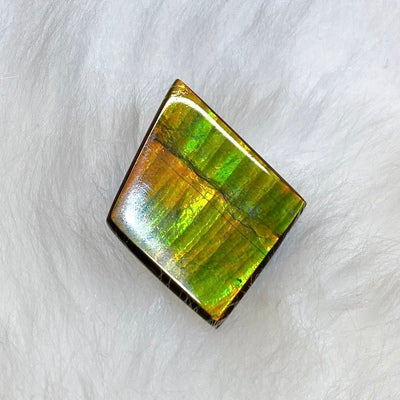 Freeform Ammolite Gemstone FNA6360