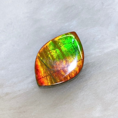 Freeform Ammolite Gemstone