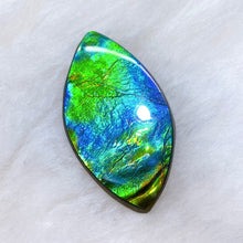 Load image into Gallery viewer, FFSC2203
