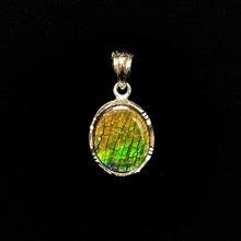 将图片加载到图库查看器，Sterling Silver Dragon Skin Ammolite Pendant
