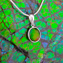 Load image into Gallery viewer, KORITE 14K White Gold Oval Ammolite/Jade Pendant
