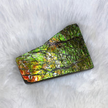 将图片加载到图库查看器，Ammolite Hand Specimens FNGS2237
