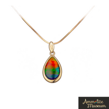 将图片加载到图库查看器，14K Gold Teardrop Ammolite Pendant
