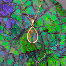 将图片加载到图库查看器，14K Gold Teardrop Ammolite Pendant
